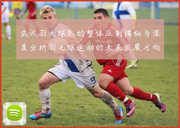 武汉羽毛球队的整体压制揭秘与深度分析羽毛球运动的未来发展方向