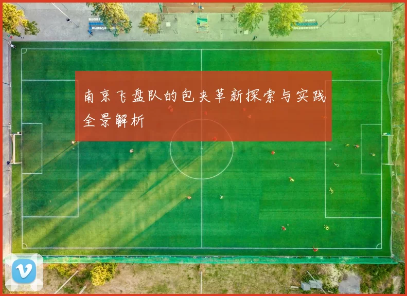 南京飞盘队的包夹革新探索与实践全景解析