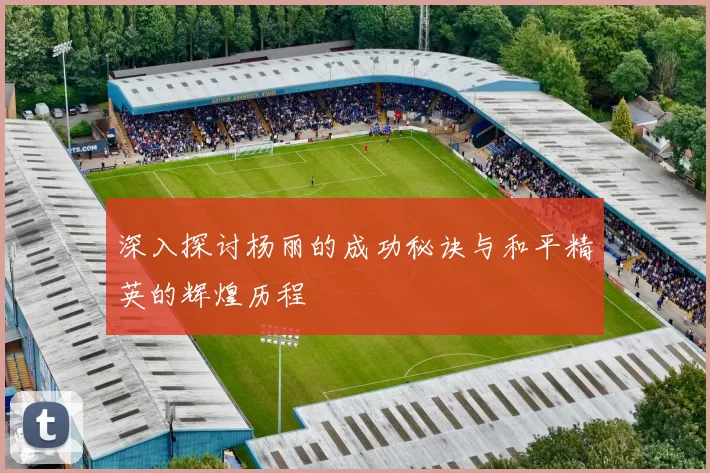 深入探讨杨丽的成功秘诀与和平精英的辉煌历程