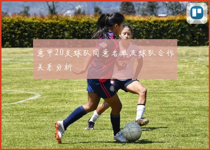 意甲20支球队同意名单及球队合作关系分析