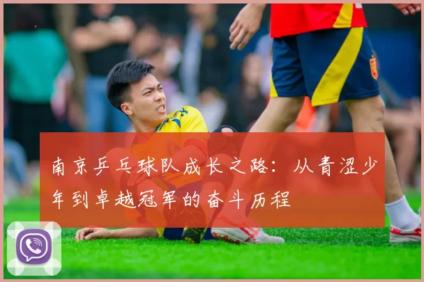 南京乒乓球队成长之路：从青涩少年到卓越冠军的奋斗历程