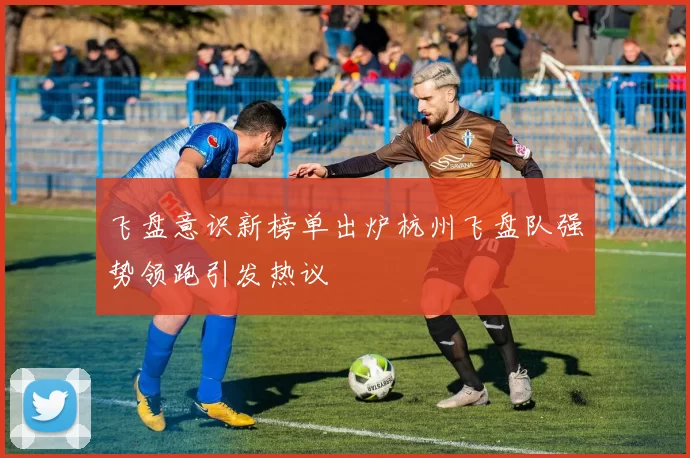 飞盘意识新榜单出炉杭州飞盘队强势领跑引发热议