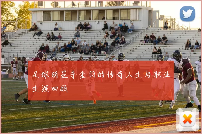 足球明星李金羽的传奇人生与职业生涯回顾