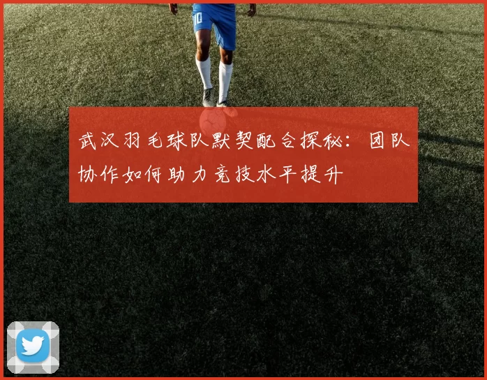 武汉羽毛球队默契配合探秘：团队协作如何助力竞技水平提升