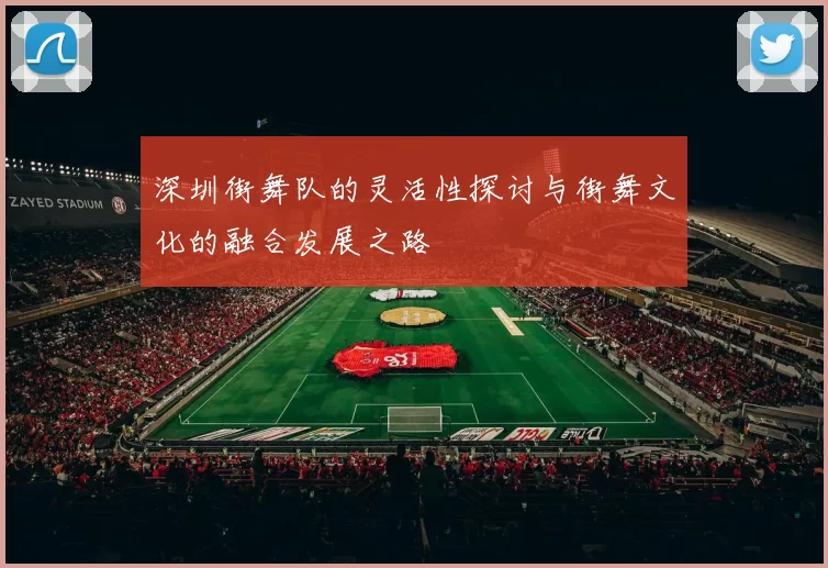 深圳街舞队的灵活性探讨与街舞文化的融合发展之路