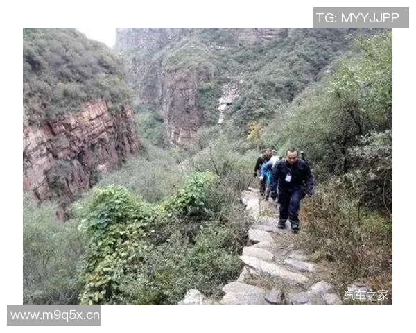 极限运动爱好者必看的防护垫选购指南与推荐技巧
